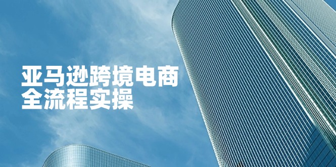 （14252期）亚马逊跨境电商全流程实操，教你从零开始，掌握店铺运营与广告技巧-源创文化-轻创终点站