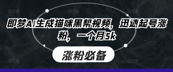 即梦AI生成猫咪黑帮视频，迅速起号涨粉，一个月5k-源创文化-轻创终点站